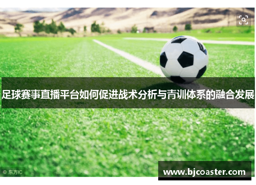 足球赛事直播平台如何促进战术分析与青训体系的融合发展